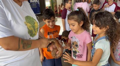 Crianças de uma escola municipal interagem com uma serpente durante atividade educativa da BRK.