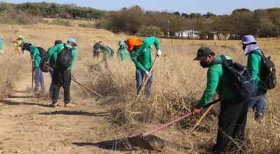 Trabalhadores abrindo aceiros em área de Cerrado seco, usando enxadas para limpar a vegetação e evitar a propagação de incêndios.