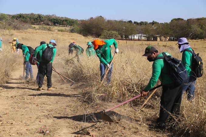 Trabalhadores abrindo aceiros em área de Cerrado seco, usando enxadas para limpar a vegetação e evitar a propagação de incêndios.